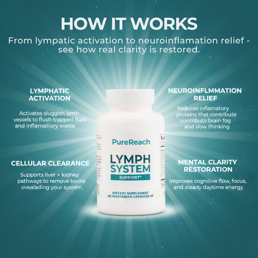 PureReach™ Lymph System Support