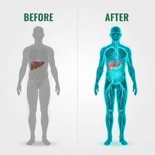 Why Super Liver Works